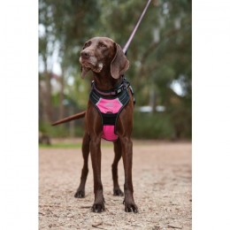 Weatherbeeta Anti Pull/Travel Harness