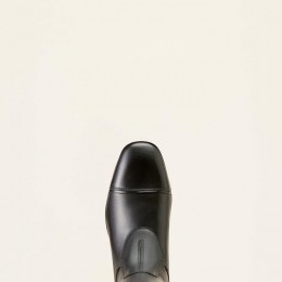 Ariat Riding Boots Palisade Tall Show