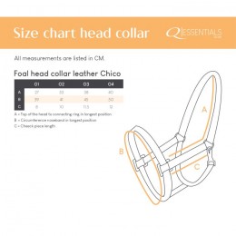 QHP Leather Foal Halter Chico