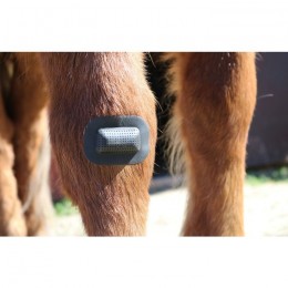 Rheva Kombo Wound Protection