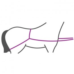 QHP Trailer loading line