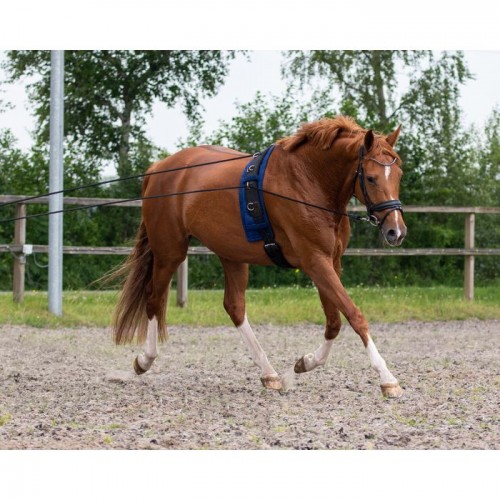 QHP Lunging Rein Double