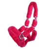 QHP Halter Alaska