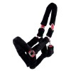 QHP Halter Alaska
