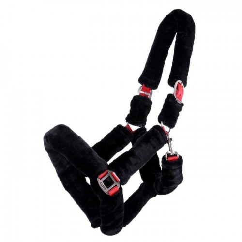 QHP Halter Alaska