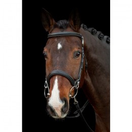 Schockemöhle Training Bridle Dortmund