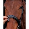 Schockemöhle Bridle Malaga