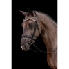 Schockemöhle Bridle Palermo