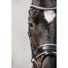 Schockemöhle Bridle malibu