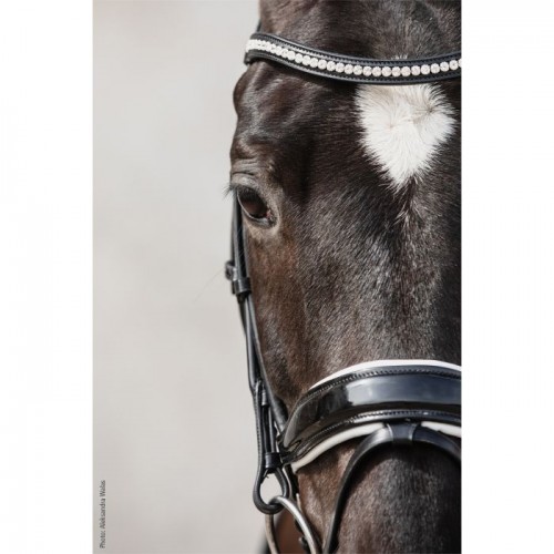 Schockemöhle Bridle malibu