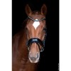 Schockemöhle Bridle Stanford