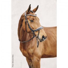 Schockemöhle Bridle Equitus BETA