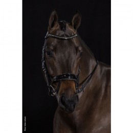 Schockemöhle Bridle Equitus Beta Glam