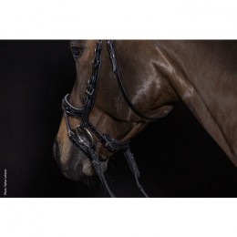 Schockemöhle Bridle Equitus Beta Glam