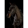 Schockemöhle Bridle Tokyo F Select