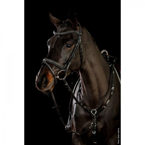 Schockemöhle Bridle Tokyo F Select