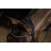 Schockemöhle Bridle Westminster