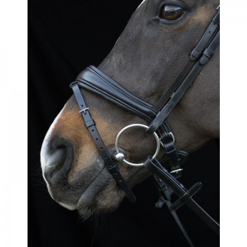 Schockemöhle Bridle Charleston