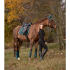 Waldhausen Saddle Pad Competition
