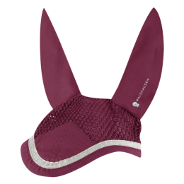 Waldhausen Earnet Competition