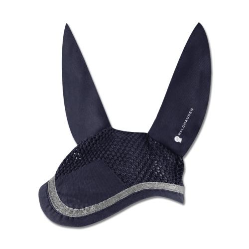 Waldhausen Earnet Competition