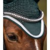Waldhausen Earnet Competition