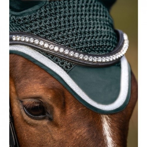 Waldhausen Earnet Competition
