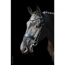 Schockemöhle Milan Double bridle