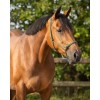 Q-essentials Rope halter Basic