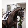Waldhausen Saddlepad Classic