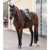 Waldhausen Saddlepad Nepal