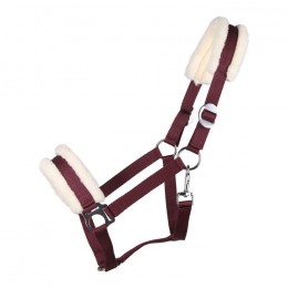 QHP Halter Cali