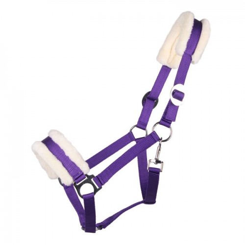 QHP Halter Cali