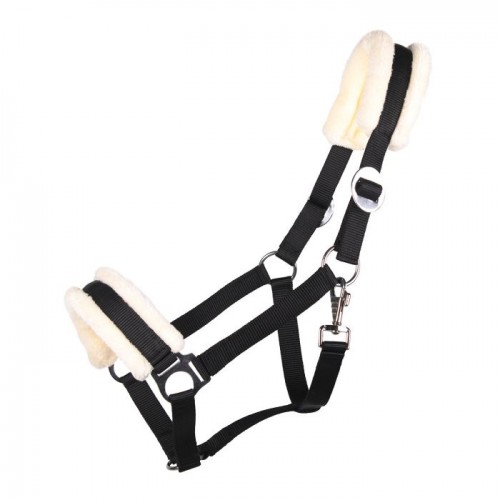 QHP Halter Cali