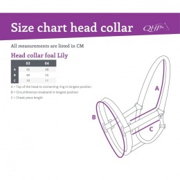 QHP Foal Halter Lily