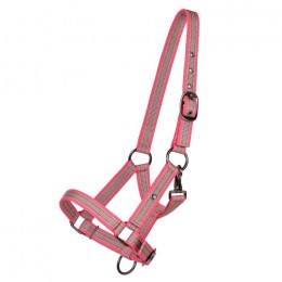 QHP SS25 Foalhalter Collection