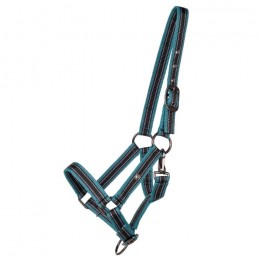 QHP SS25 Foalhalter Collection