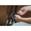 Stübben Equi-Soft girth without pad