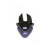 HB Earnet Fryske