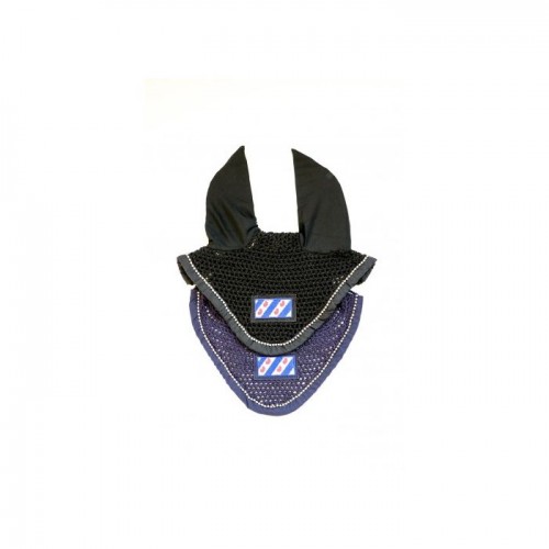 HB Earnet Fryske