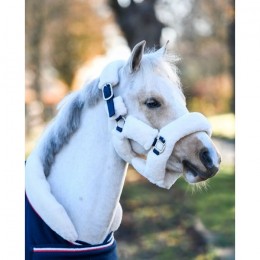 HB Showtime Harry and Hector Fluffy Halter Little sizes