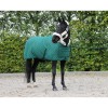 HB Showtime Show Rug Desir