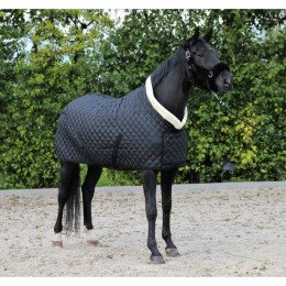 HB Showtime Show Rug Desir