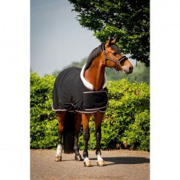 HB Polar Dutch Crown Europe Rose Show Rug