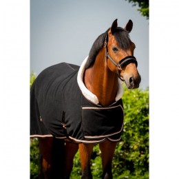 HB Polar Dutch Crown Europe Rose Show Rug