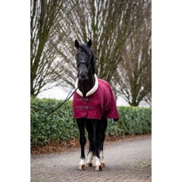 HB Showtime Velvet Spring Show Rug