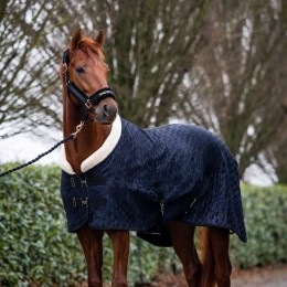 HB Showtime Velvet Spring Show Rug