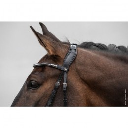 Schockemöhle Headpiece Equitus Rho