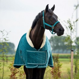 HB Showtime Tropical Show Rug