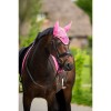 HB Showtime Glitter Earnet ST Logo